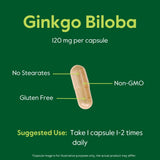Caja de cápsulas BESTVITE Ginkgo Biloba, ideal para rutina diaria de memoria.