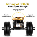 Better Alt Shilajit Gold Kaunch para energía prolongada diaria.