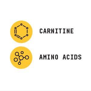 BEYOND RAW L-Carnitina etiqueta: detalle de uso
