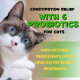 Beyxdu Probíticos para gato, soporte digestivo natural.