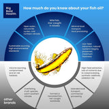 BIG BOLD HEALTH Omega-3 Rejuvenate, uso diario: apoyar salud cognitiva e inmunidad.