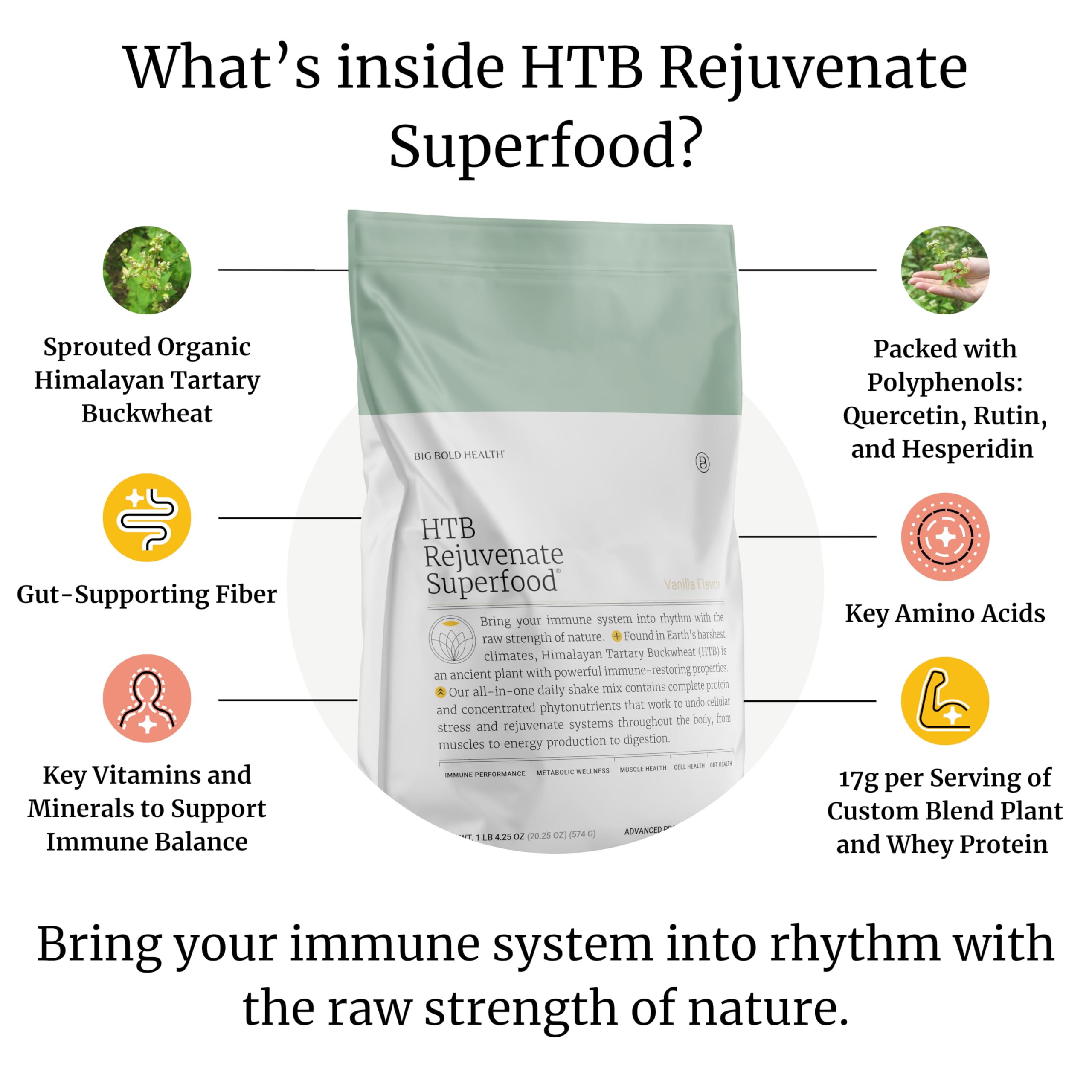 BIG BOLD HEALTH HTB Rejuvenate: batido vainilla suave, sabor agradable.
