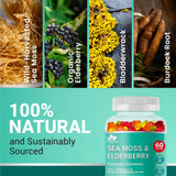 BIO VITALICA ingredientes musgo marino en gomitas para mayor absorción de nutrientes