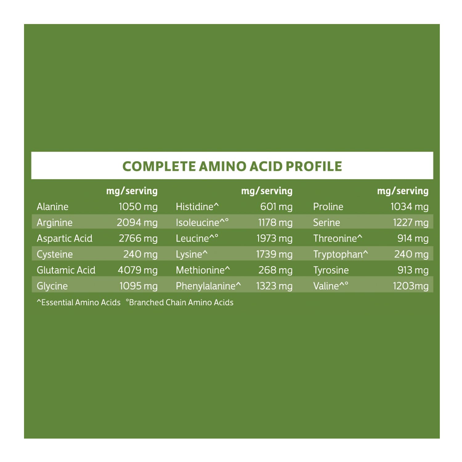 Biochem Proteína Vegana cucharita-medidora, porción lista para entrenamientos