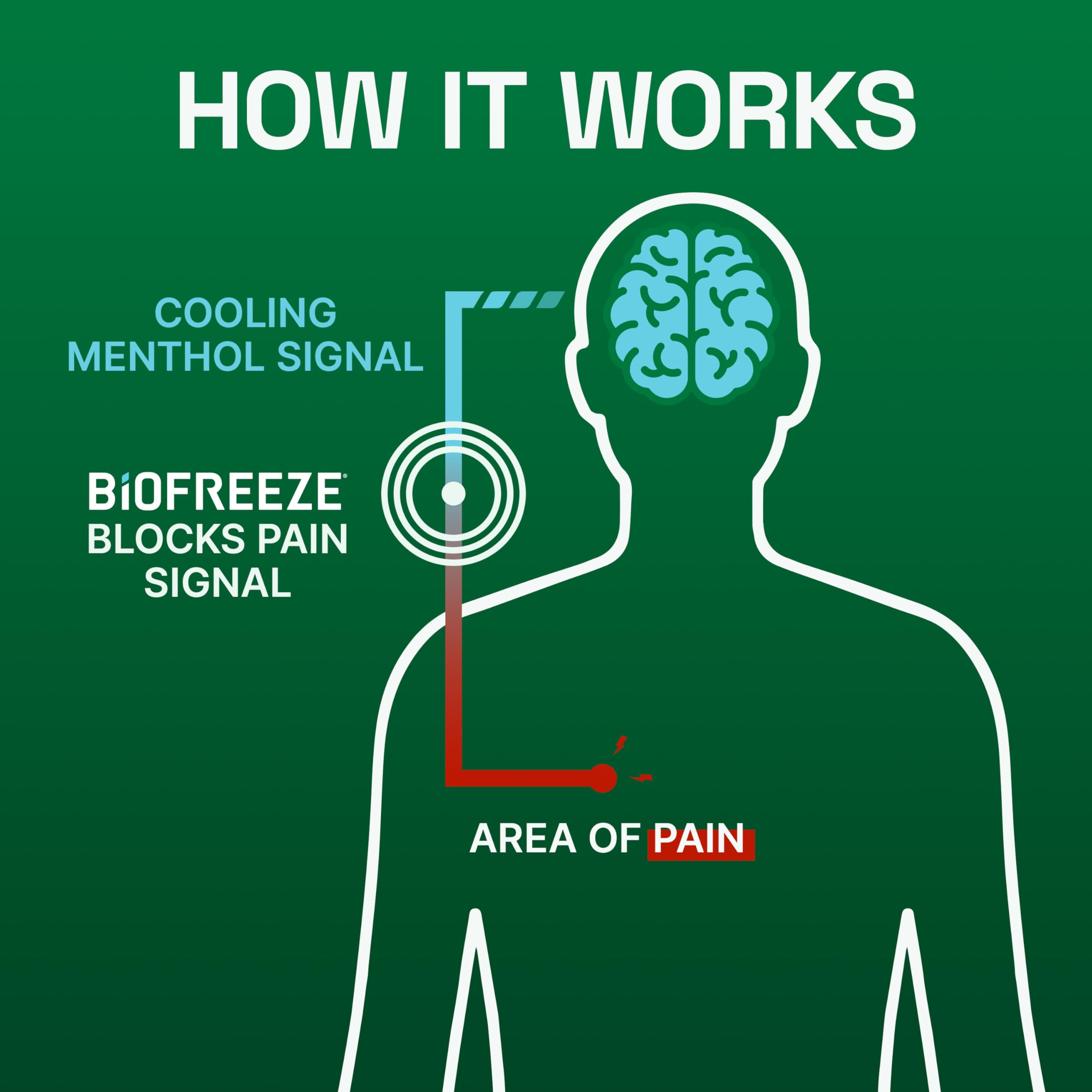 Biofreeze Dry Stick aplicación-espalda alivio para molestias de espalda.