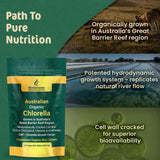 Biogenesis Chlorella mini tabletas: nutrientes y clorofila