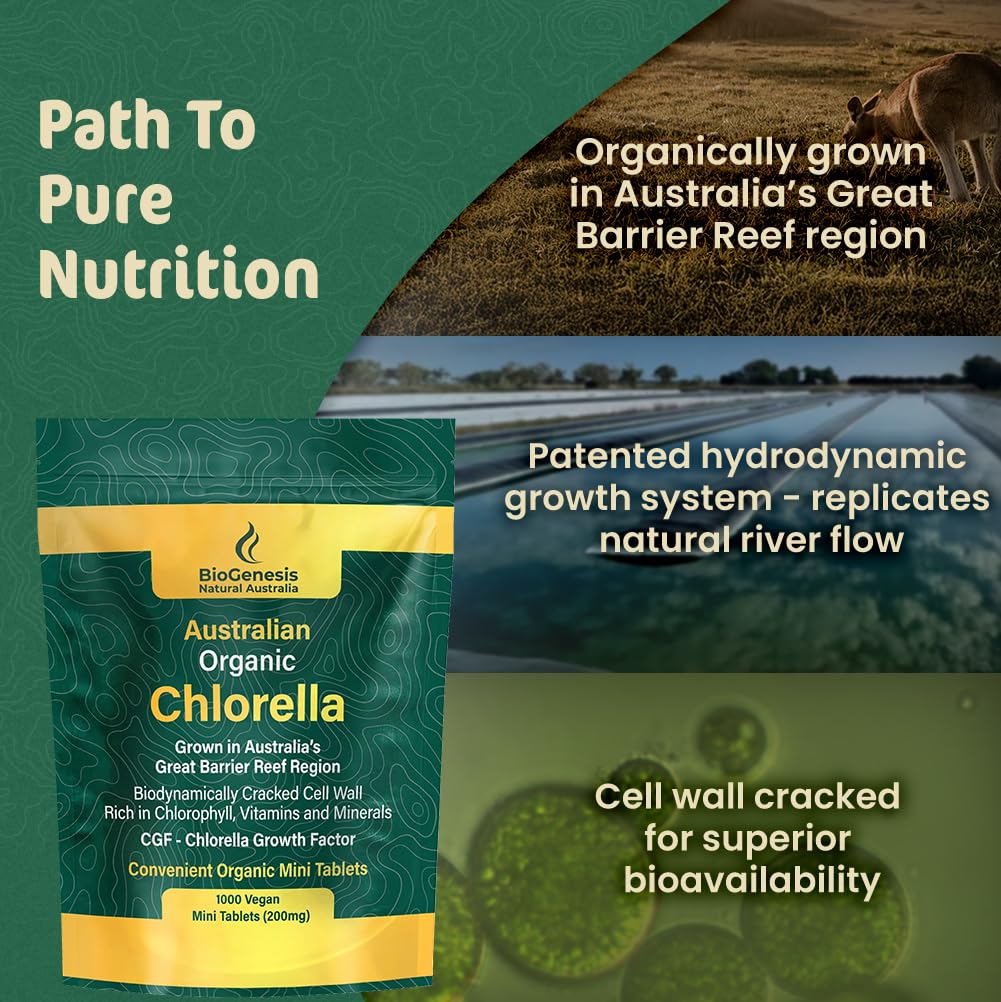 Biogenesis Clorella junto a verduras frescas, opción verde