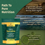 Biogenesis Spirulina Mini Tabletas color y forma atractivos para energía diaria