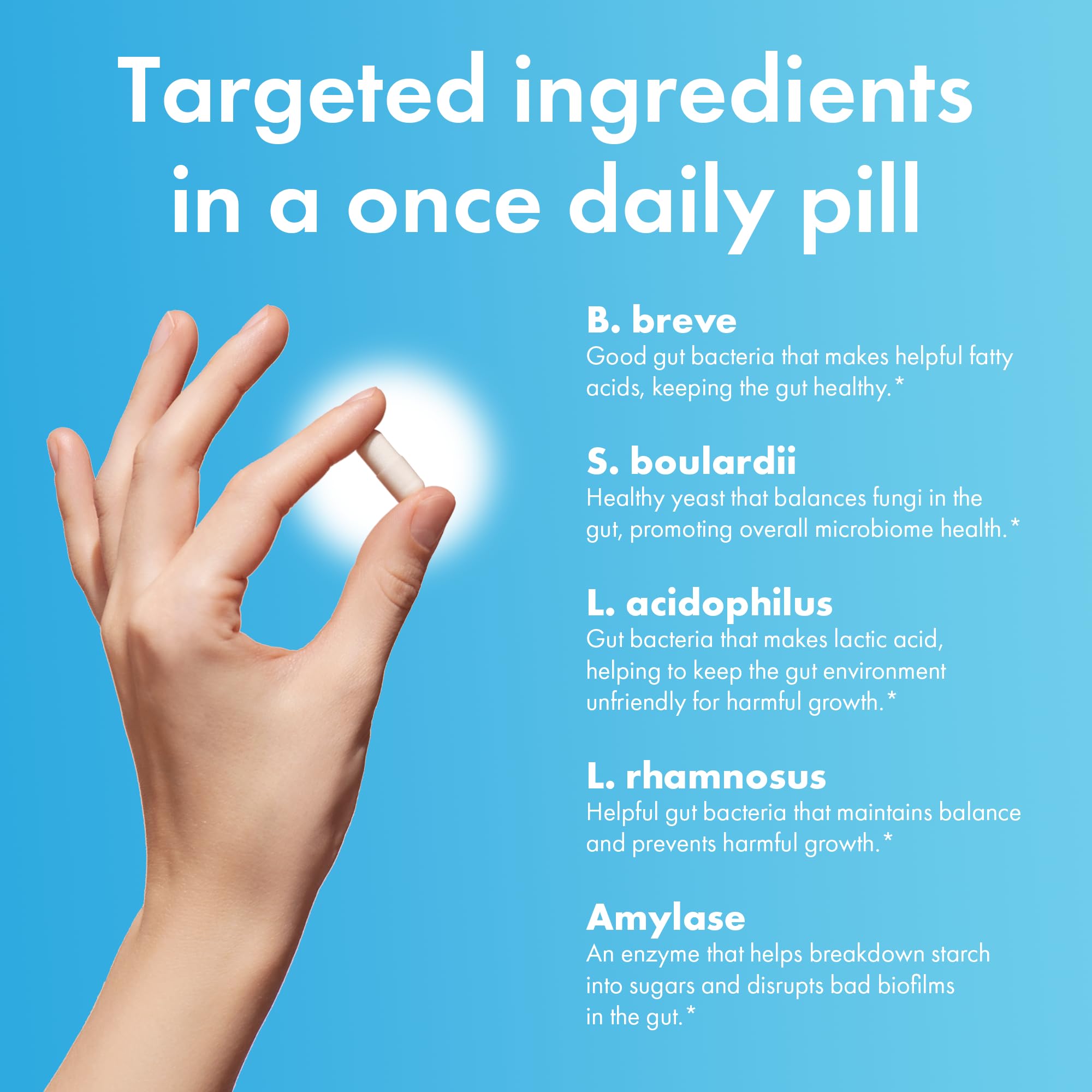 BIOHM Probiotico Total: equilibrio digestivo gracias a enzimas digestivas.