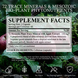 BioImmersion Energía: cápsulas para balance metabólico diario.