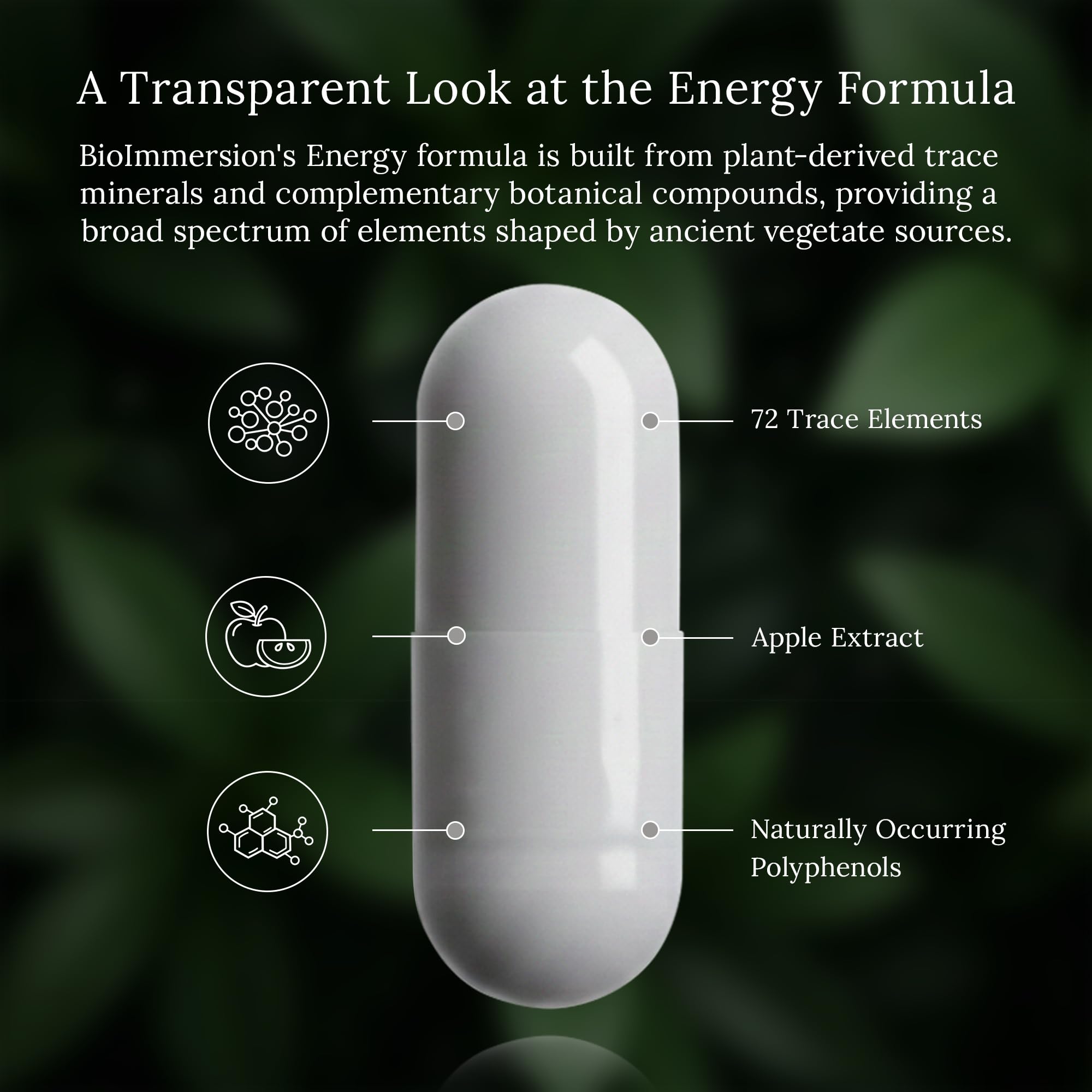 BioImmersion Energía: mezcla de plantas y minerales en cada cápsula para enfoque.