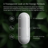 BioImmersion Energía: mezcla de plantas y minerales en cada cápsula para enfoque.