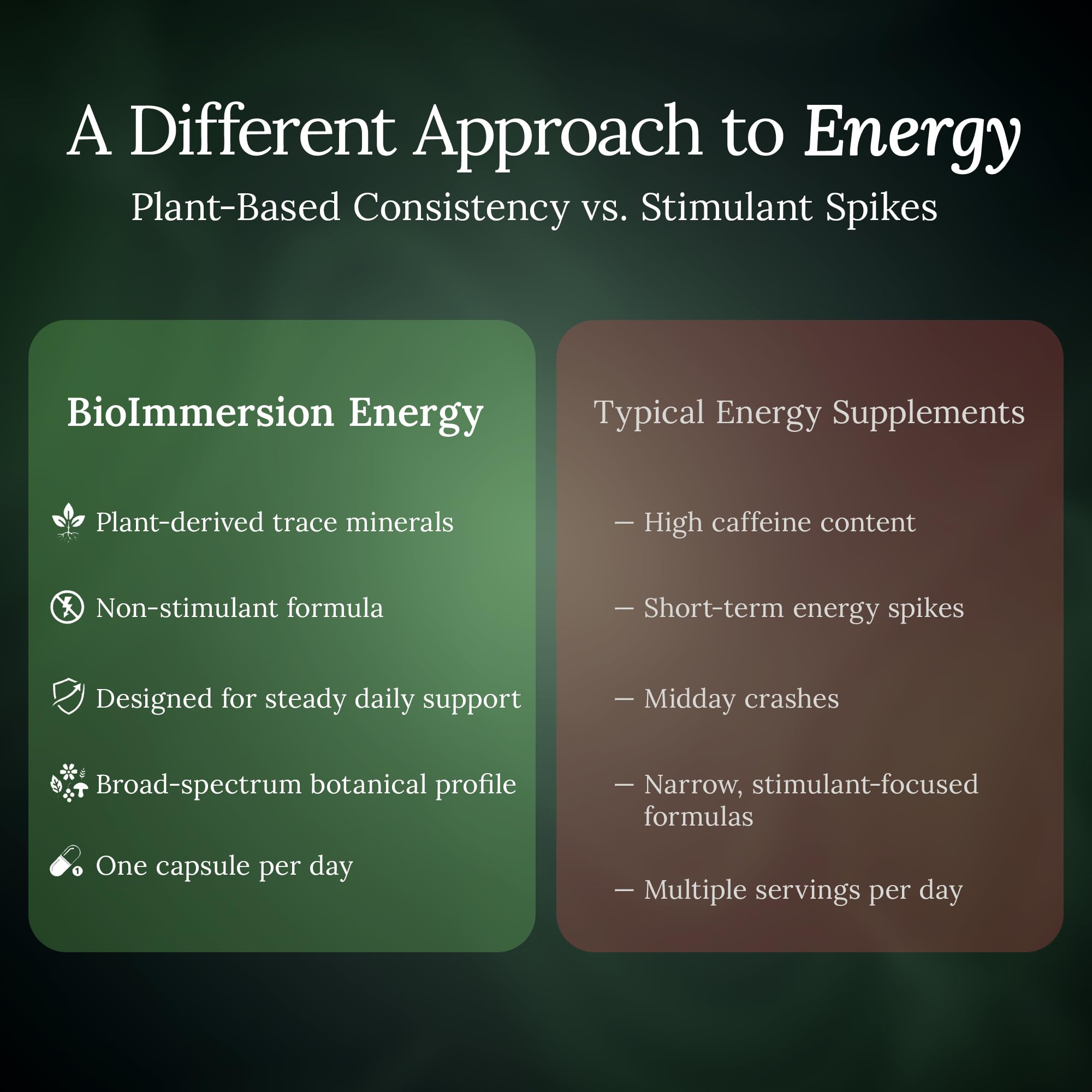 BioImmersion Vitalidad Extract: rutina diaria con suplemento de plantas.
