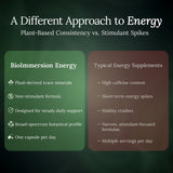 BioImmersion Vitalidad Extract: rutina diaria con suplemento de plantas.