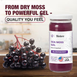 Biolore sabor-frutal-elderberry: sabor afrutado que complementa cítricos y manzanas.