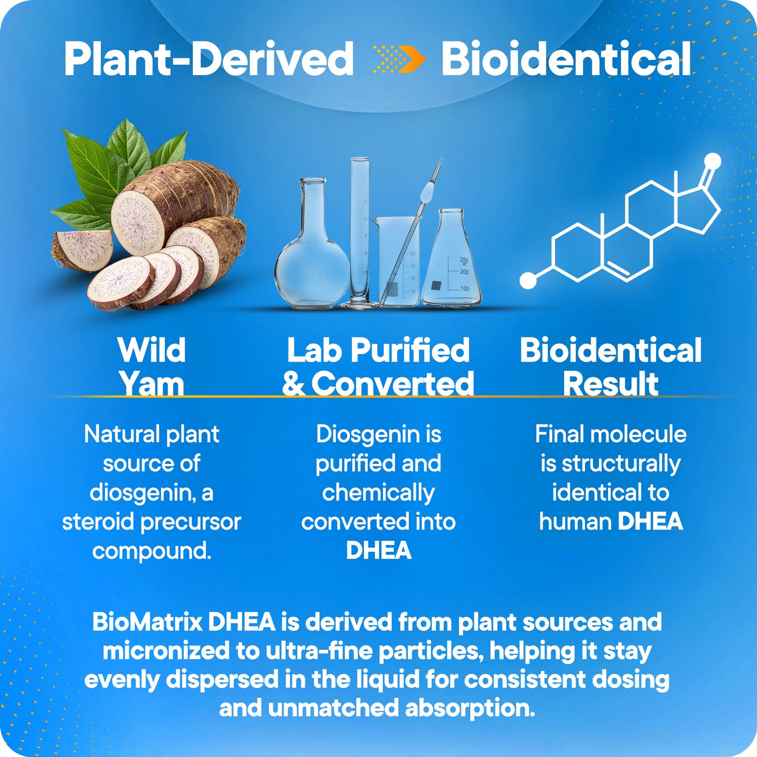 BioMatrix DHEA aplicación sublingual para absorción directa