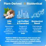 BioMatrix DHEA aplicación sublingual para absorción directa