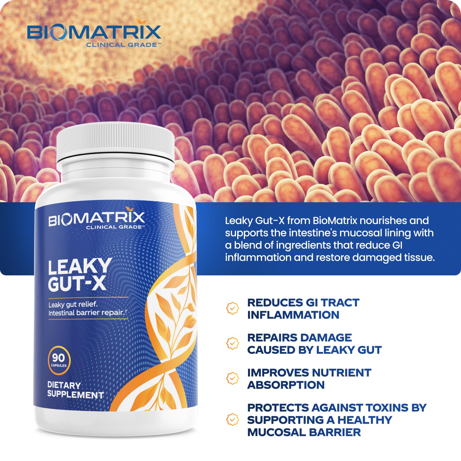BioMatrix Leaky Gut-X empaque caja, presentación limpia y atractiva.