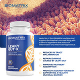 BioMatrix Leaky Gut-X empaque caja, presentación limpia y atractiva.
