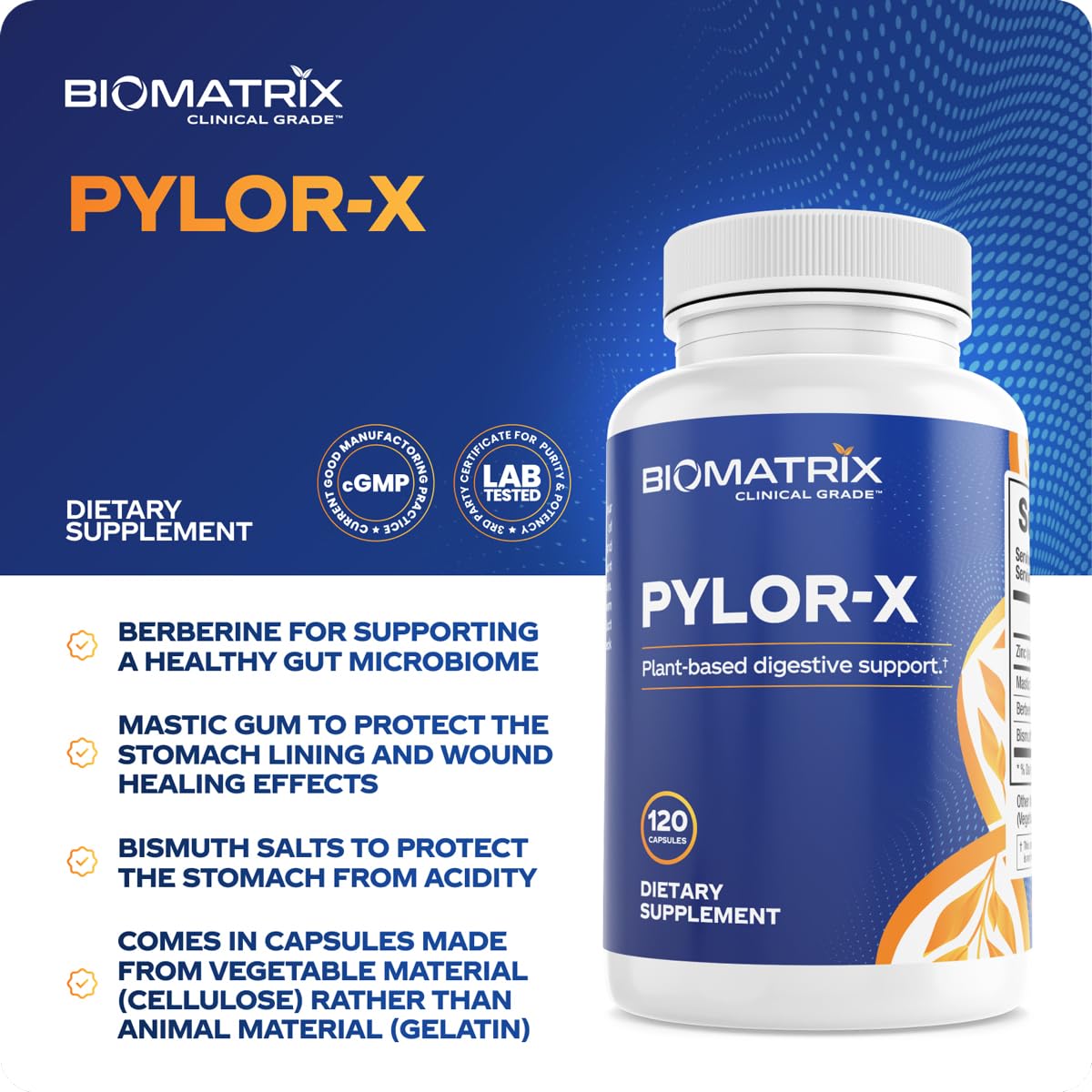 BioMatrix Pylor-X: etiqueta de ingredientes destacando goma mastic y berberina.