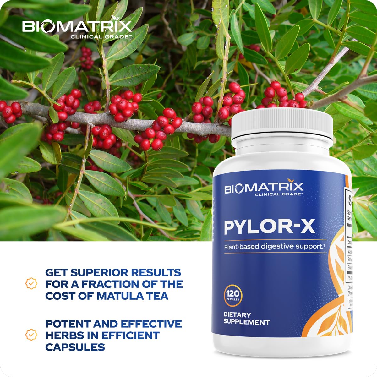 BioMatrix Pylor-X: pack de 120 cápsulas en primer plano para uso diario.