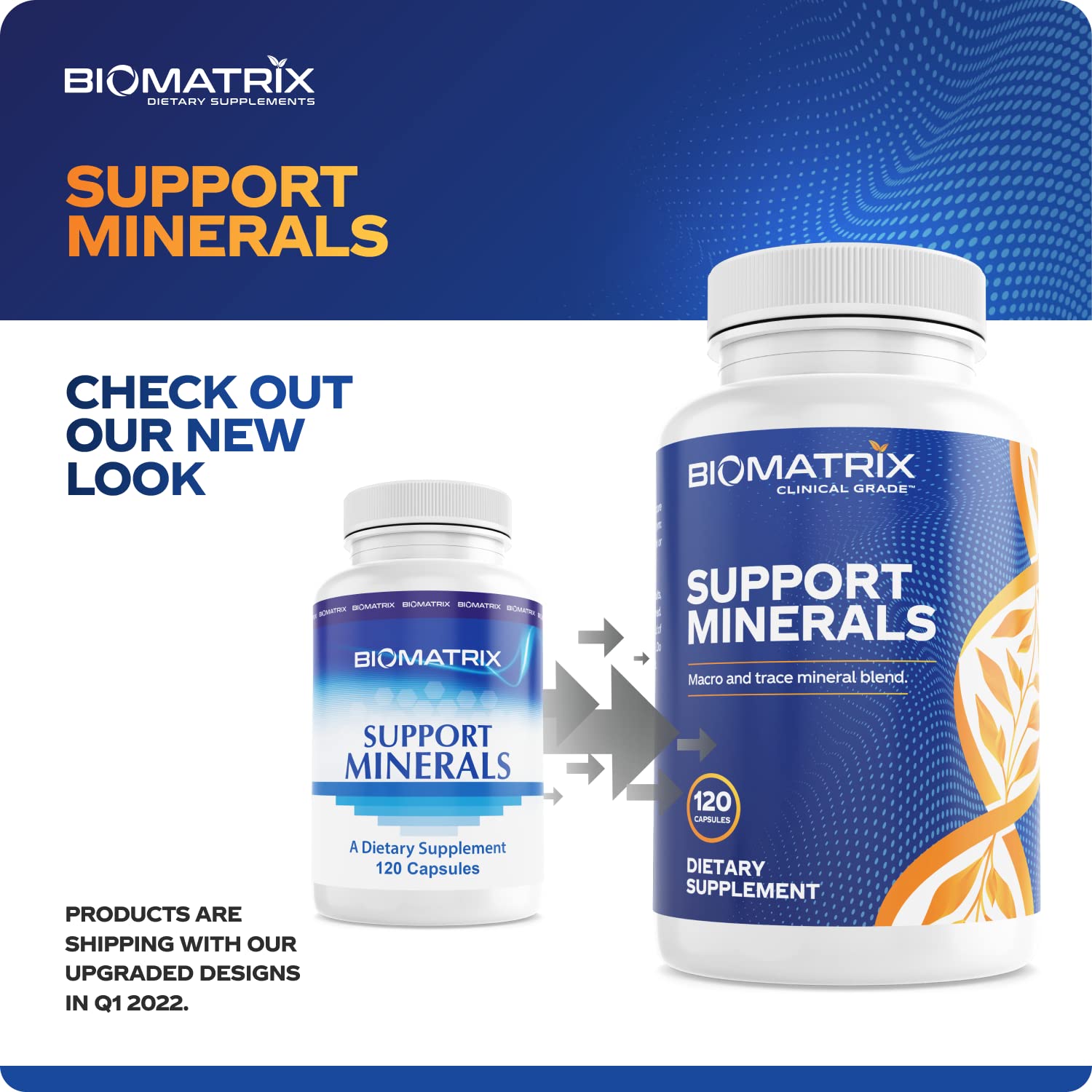 BioMatrix uso diario de vitaminas y minerales para rendimiento general.