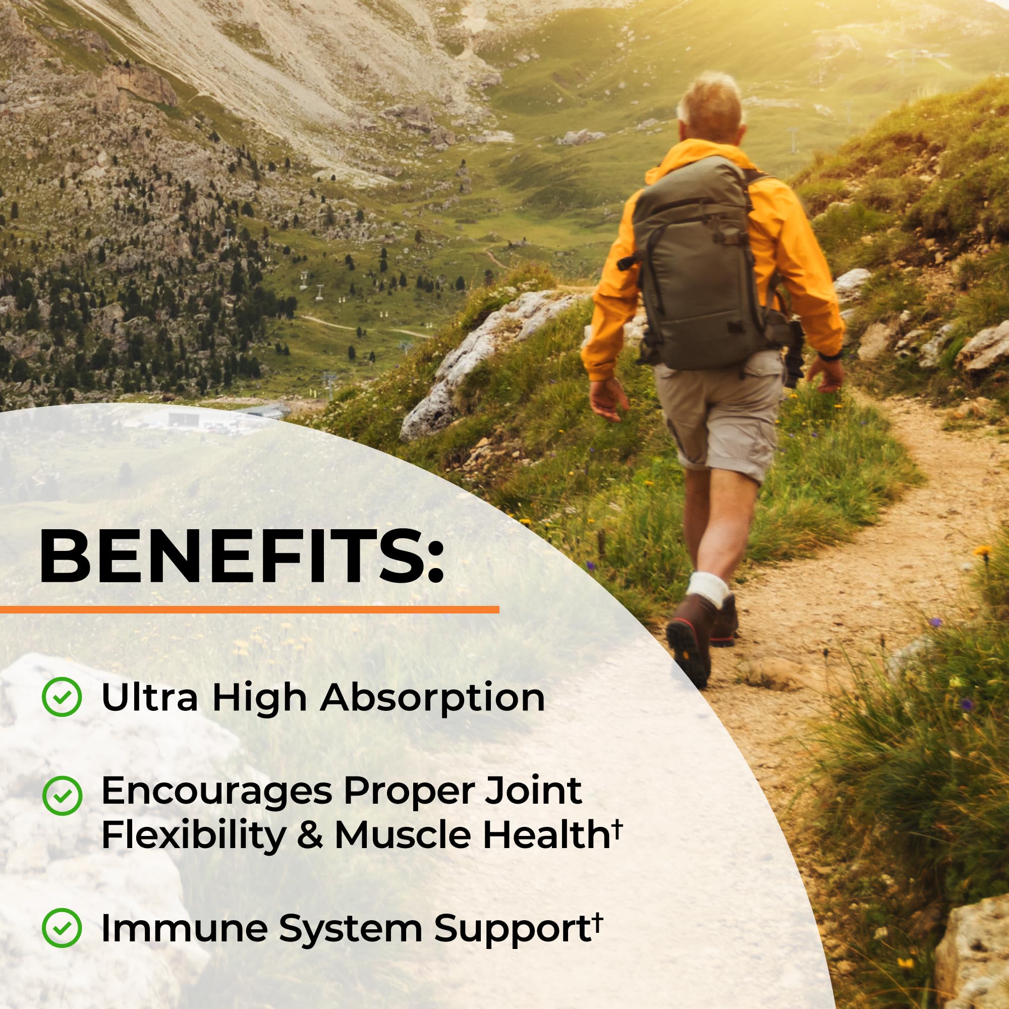 Raices-curcuma reales para contexto natural de BioSchwartz Curcuma.