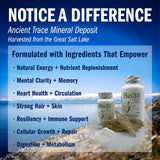 Biotek Bio35: minerales traza para equilibrio nutritivo diario