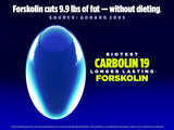 Biotest Carbolin 19: dosis diaria visible para plan de entrenamiento.