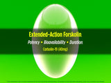 Biotest Carbolin 19: envase protege cápsulas para uso diario.