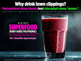 Biotest Superfood: dosis de 2,5 g para uso diario