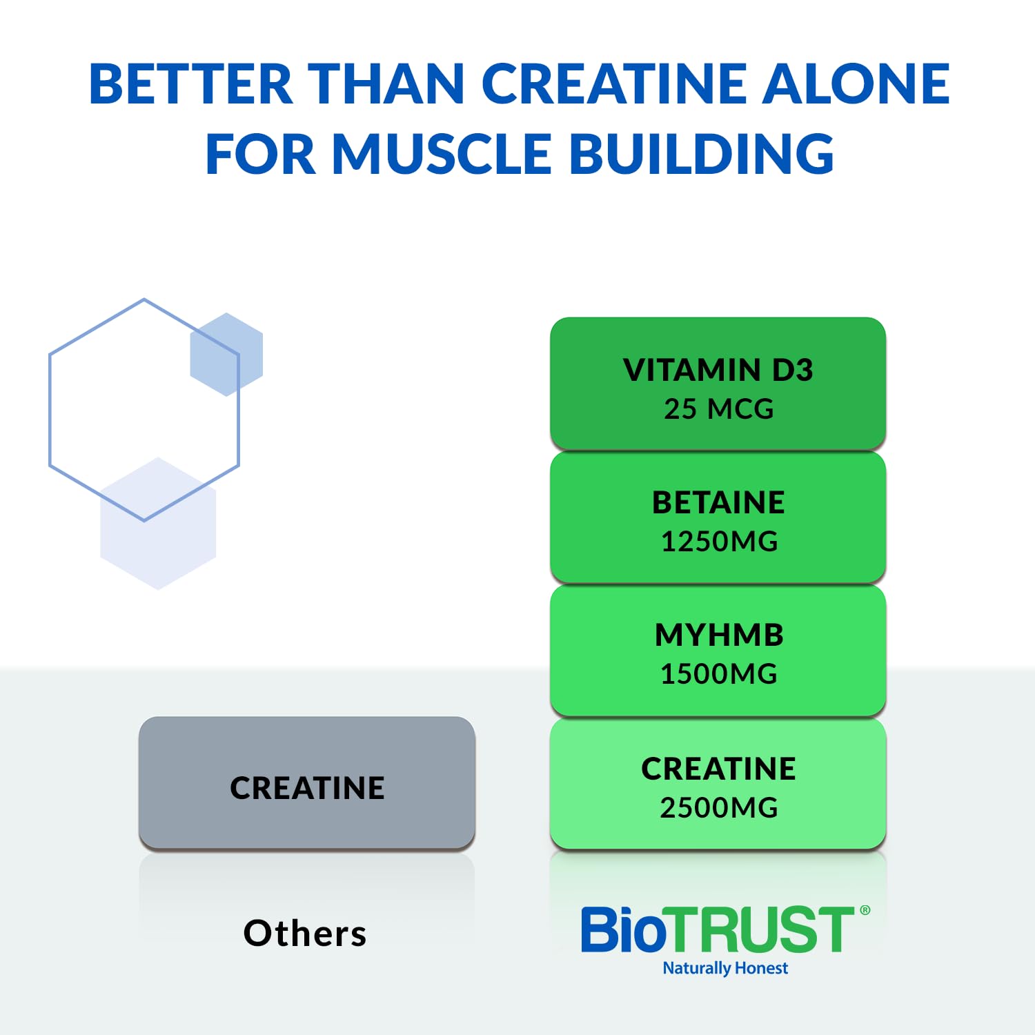 BioTrust Ageless Muscle Builder: cuchara medidora para mezclar