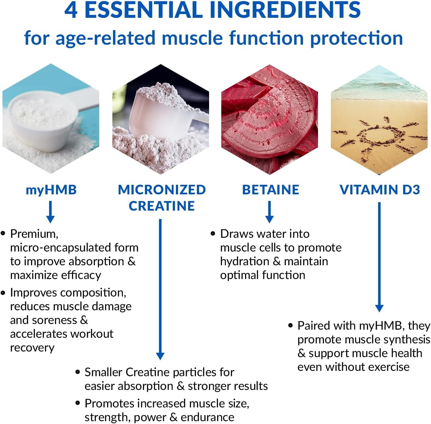 BioTrust Ageless Muscle etiqueta ingredientes destaca la composición clave