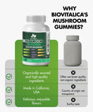 BIO VITALICA Gomitas veganas, variedad de hongos para energía sostenida