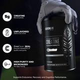 Birdman creatina micronizada en polvo en mezclador para entrenamientos.