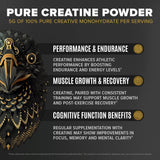 Probióticos LifeinU en Falcon Performance, favorece la digestión y absorción.