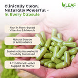 B'LEAF NATURE cápsulas veganas sin gluten para nutrición sostenible