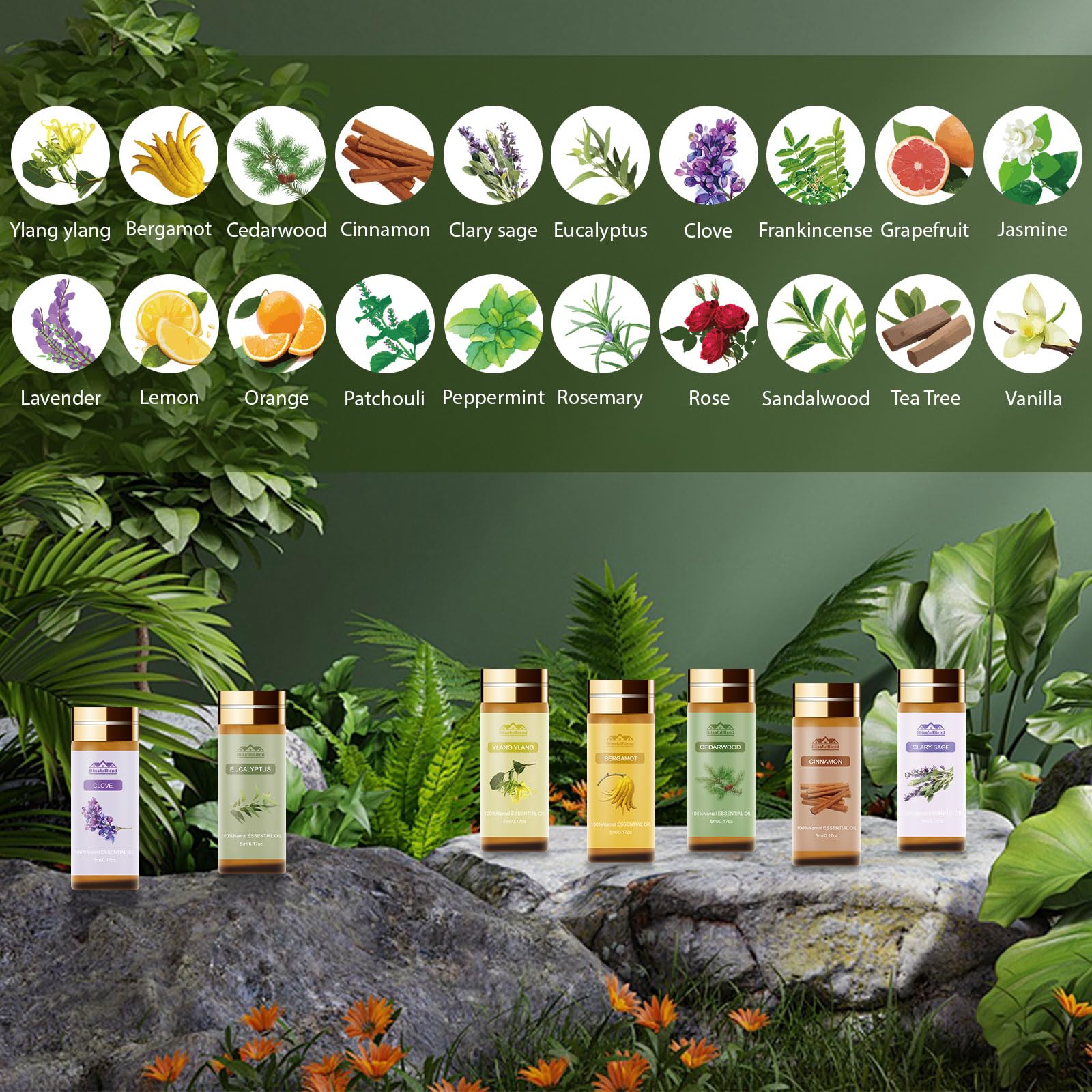 BlissfulBlend árbol de té, frasco: aroma puro para limpieza suave