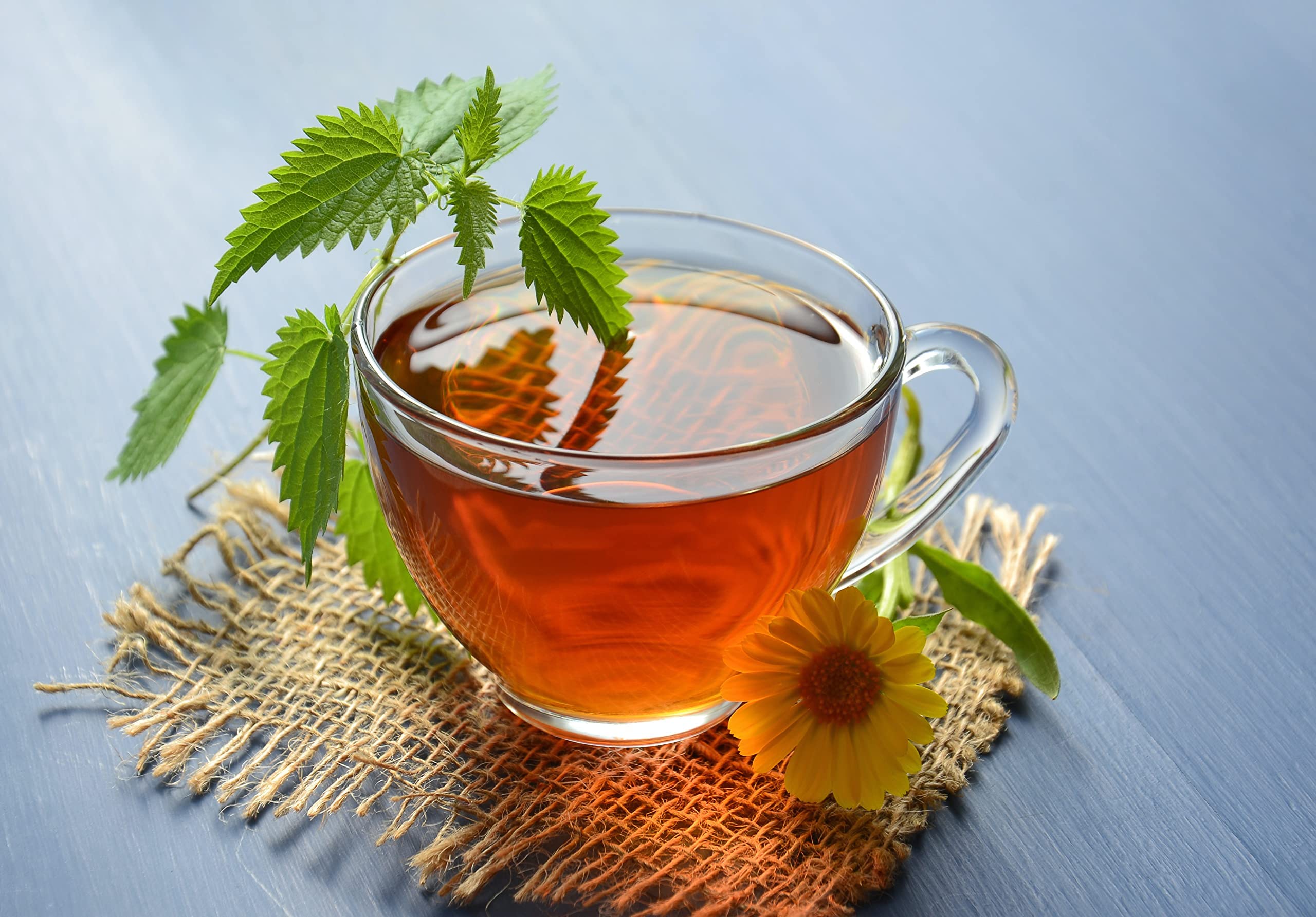 Bluechai Semillas para café o té de ortiga, sabor único y aroma herbal.