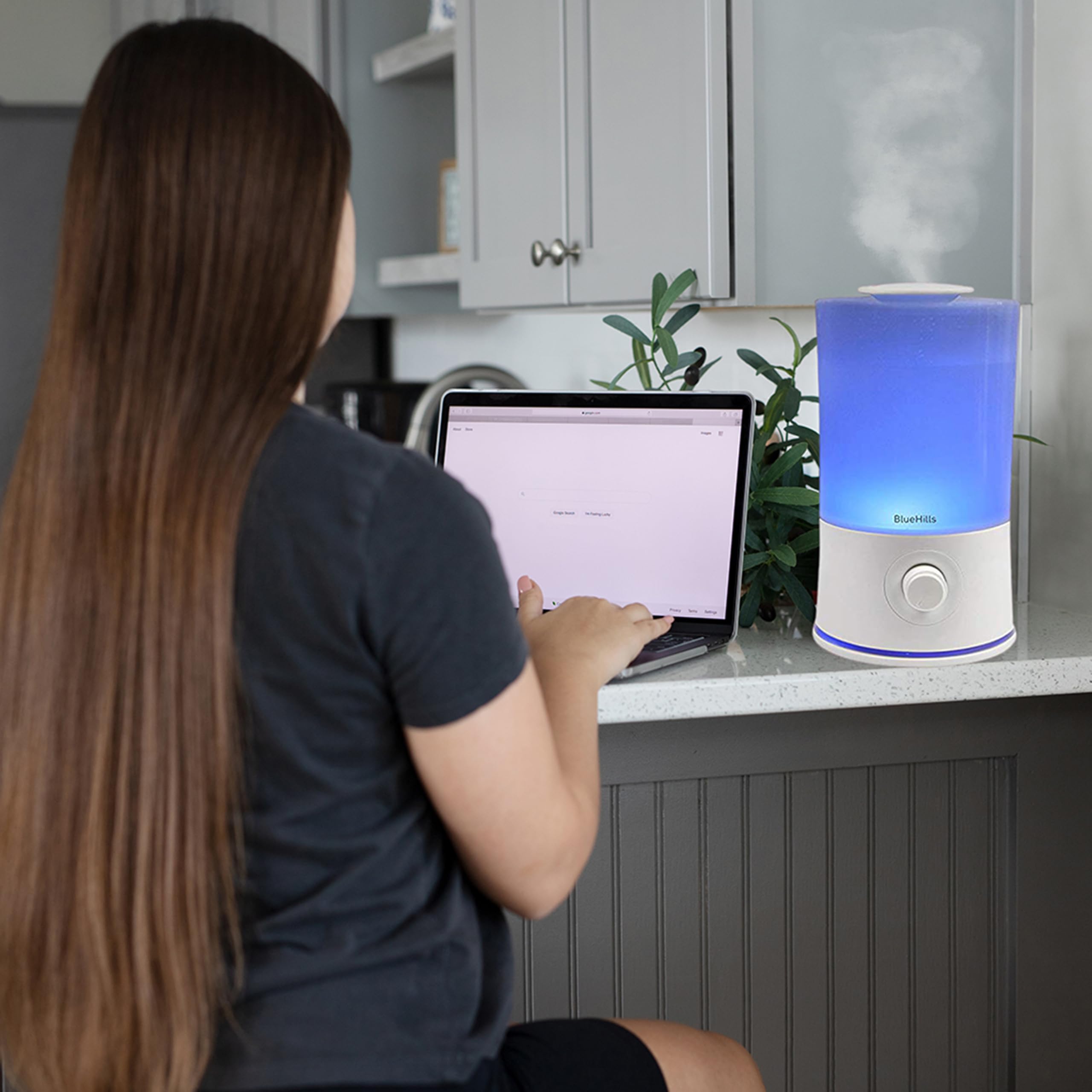 BlueHills difusor modo niebla ajustable para diferentes ambientes