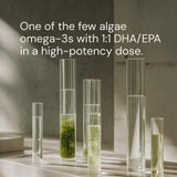Dosis diaria de Omega3 de algas Blueprint Bryan Johnson para bienestar general.