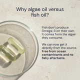 Etiqueta de Blueprint Bryan Johnson Omega3 que destaca absorción por triglicéridos.