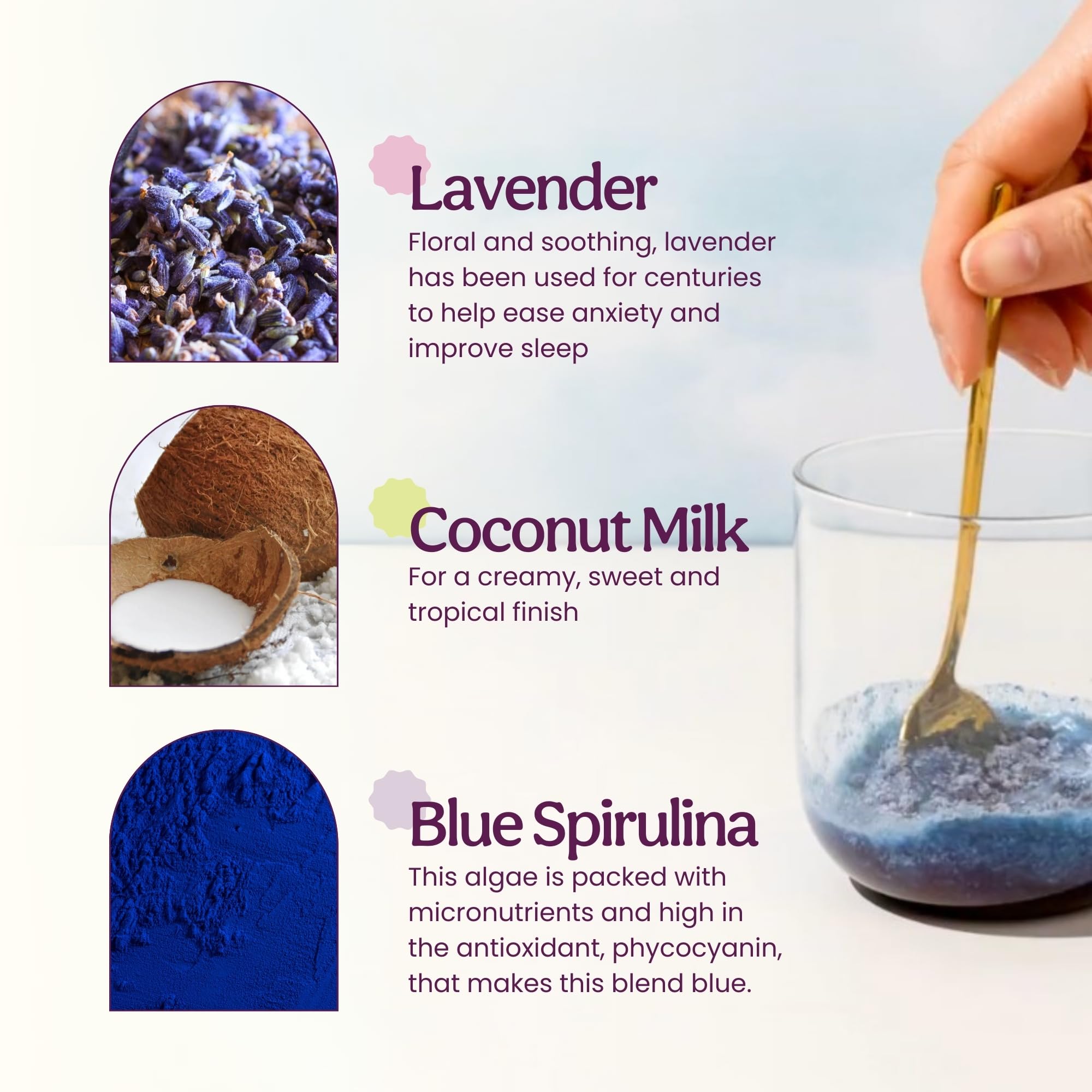 Blume Latte: preparación rápida con una cucharadita para un latte cremoso.