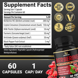 BMVINVOL berberina con cúrcuma en cápsula para apoyo digestivo.
