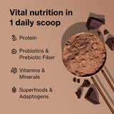 BODi Shakeology vainilla polvo con cucharada medida para porciones consistentes.