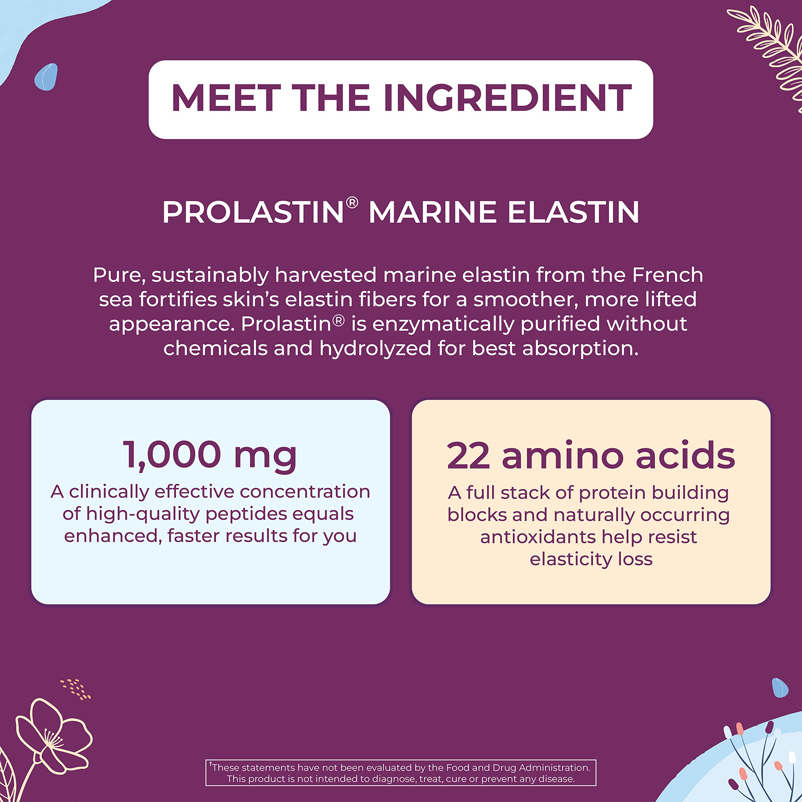 Body Kitchen Pro-Elastin, dosis diaria, posible apoyo a la salud de la piel