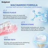 BodyAccel aroma flor de cerezo y durazno, cepillado placentero.