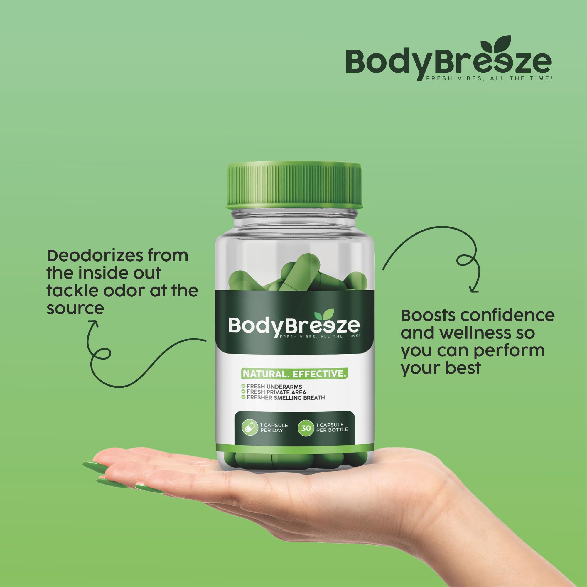 BodyBreeze: detalle de ingredientes vegetales con posible apoyo digestivo.