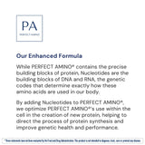 BodyHealth PerfectAmino, apoyo diario al entrenamiento