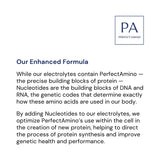 BodyHealth PerfectAmino Electrolytes, presentación en caja, fácil almacenamiento y uso diario.